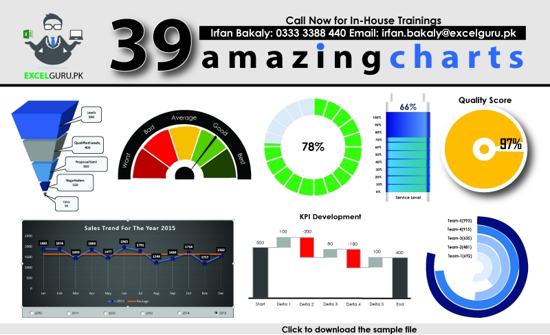 Amazing Charts by Irfan Bakaly (MVP) - Excel Guru